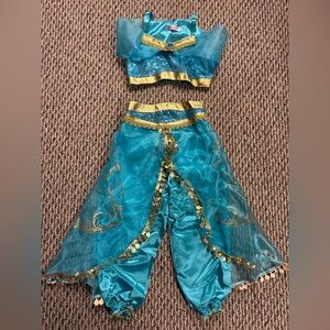 Jasmine costumes (wig included)